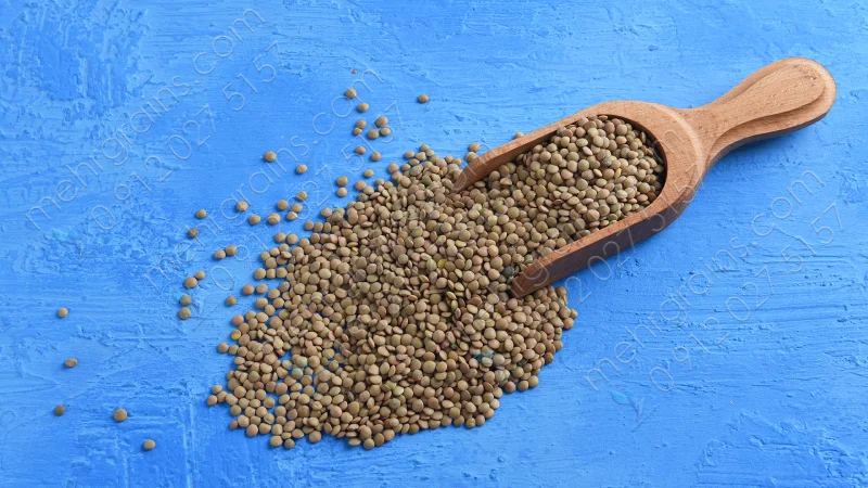 قیمت عدس کانادایی