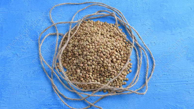 قیمت عدس کانادایی