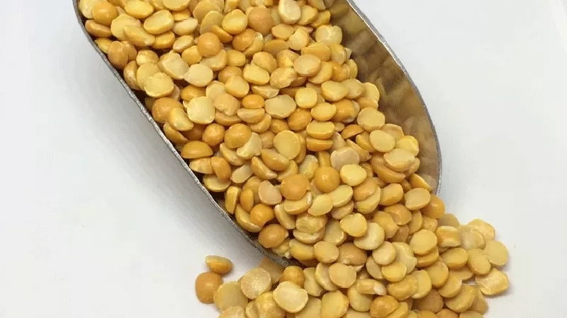 لپه کانادایی 