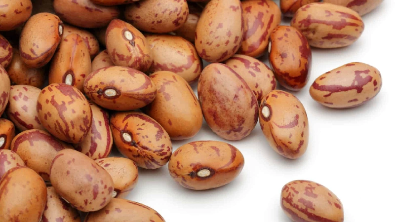 لوبیا چیتی اقلید