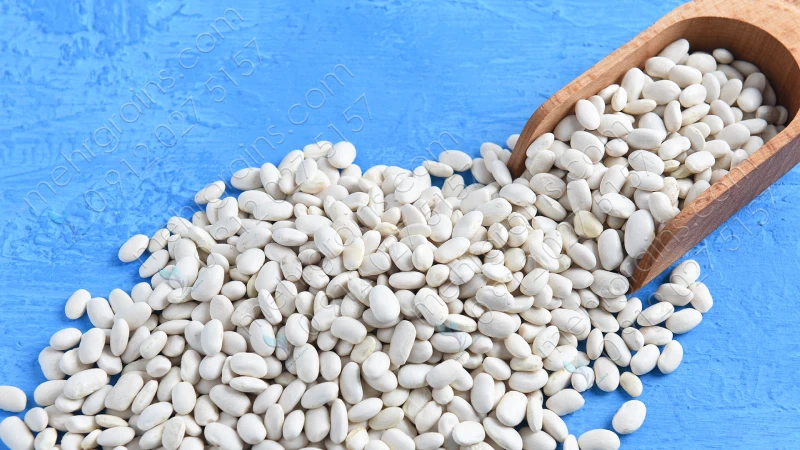 قیمت لوبیا سفید