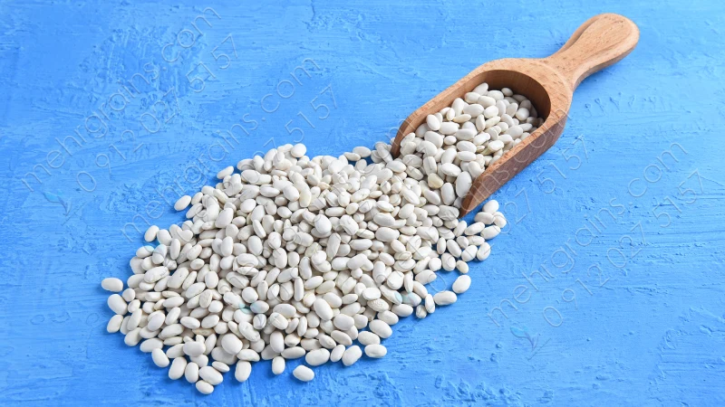 قیمت لوبیا سفید