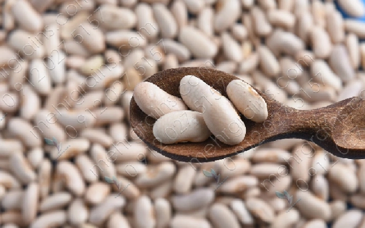 قیمت لوبیا سفید 