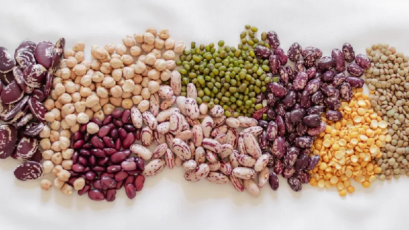 لوبیا چیتی زنجان