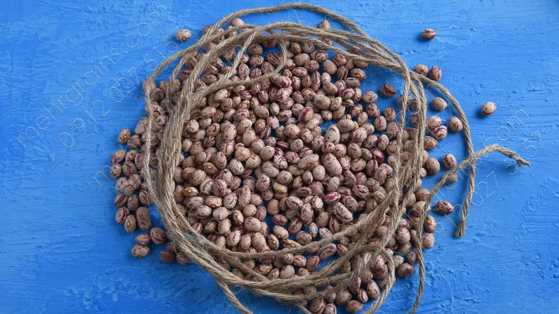 لوبیا چیتی زنجان