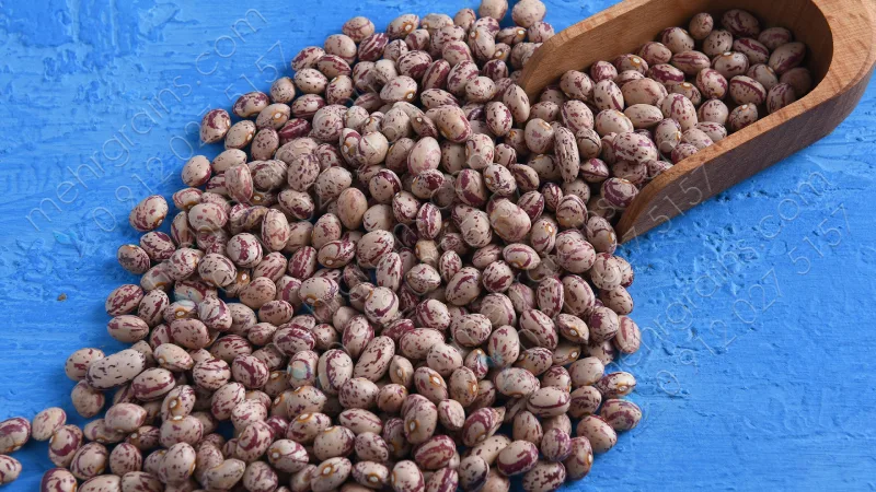 لوبیا چیتی زنجان