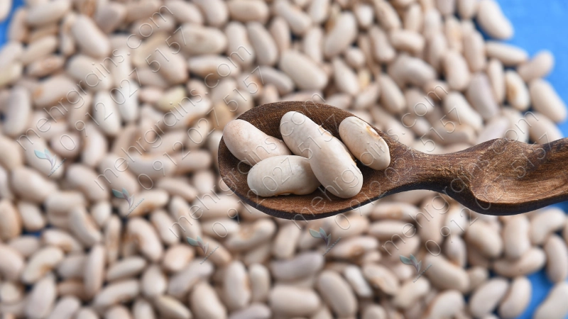 لوبیا کشاورزی