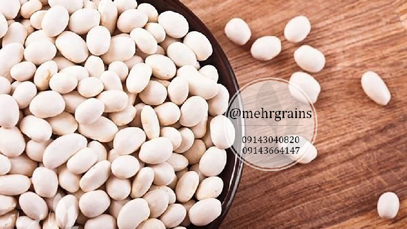 لوبیا کشاورزی