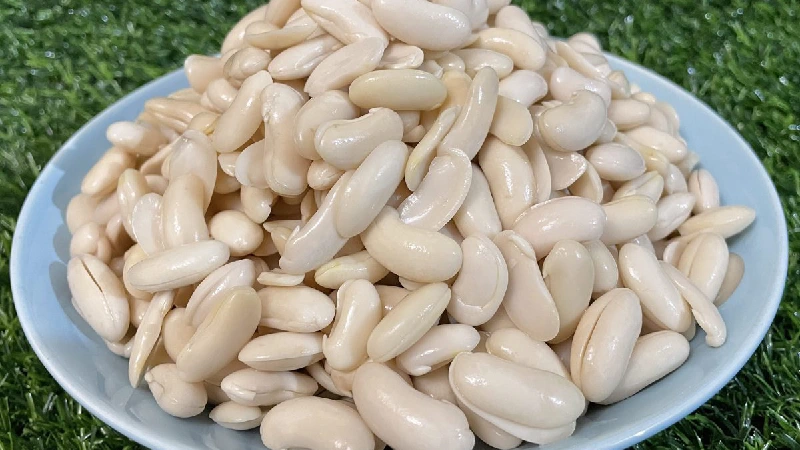 لوبیا کشاورزی