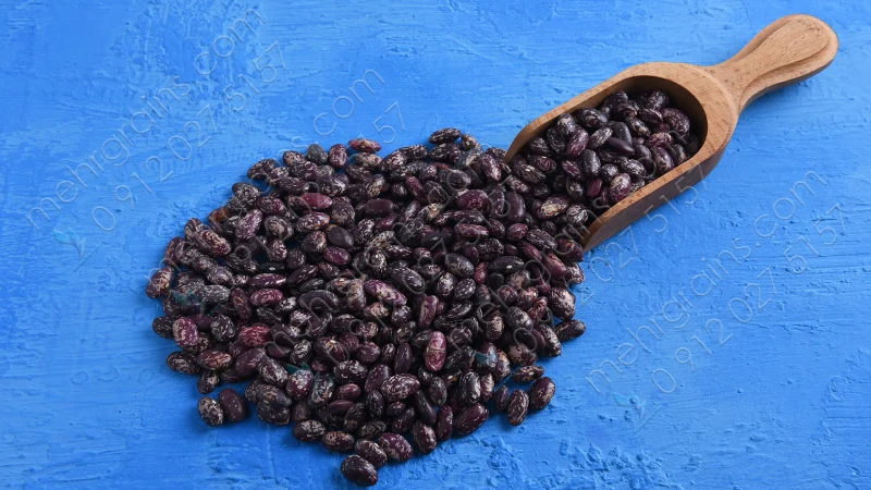 لوبیا چیتی صنعتی 