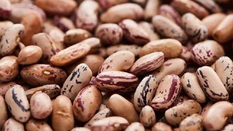 لوبیا چیتی صنعتی 