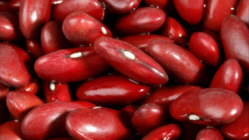 لوبیا قرمز کپسولی