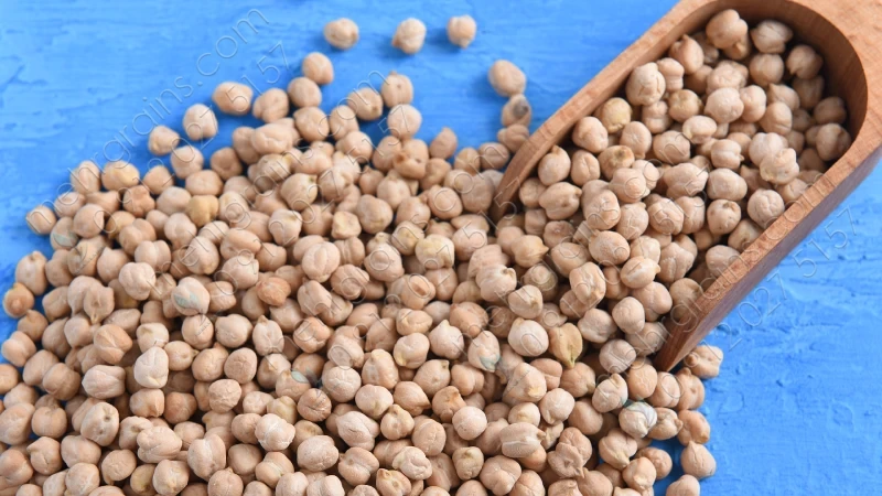 نخود دو خان