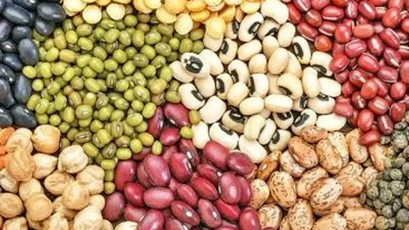 خرید عمده حبوبات